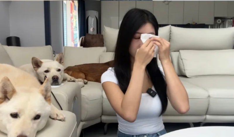 유튜버 개조이의 결혼 깜짝 고백